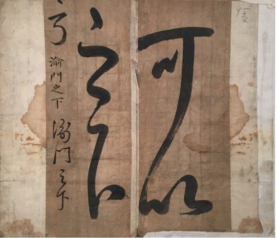 사진